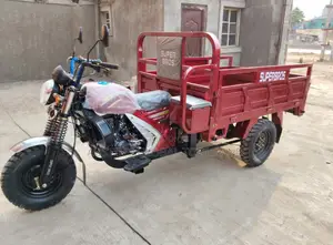 New Tricycle 2025 Blue