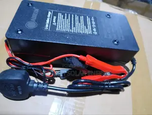 Premium 48v (56.4v) 10a Smart Battery Charger