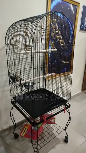 Imported Big Parrot Bird Cages Are Available