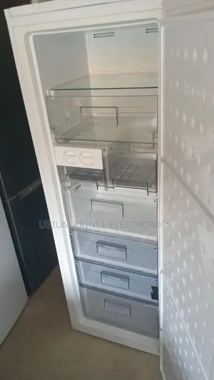 Bloomberg Standing Freezer