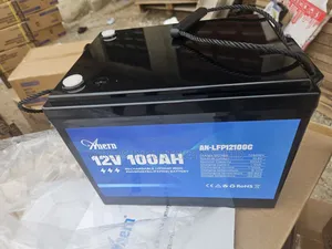 Anern 12v 100ahps Lithium Iron Battery