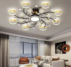 Modern Led Ceiling Lamp for Living Room Dining Room Balcony Hall