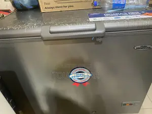 Nigeria First Inverter Chest Freezer Haier Thermocool