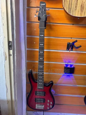 Well Sound 5 Strings Passive Guitar