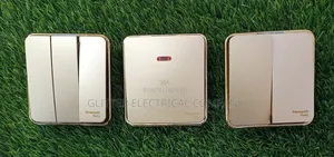 Classic Sockets and Switches for Luxury Homes