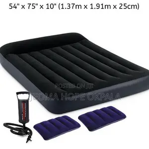 Intex Inflatable 2-3 Personclassic Downy Airbed With Pump+Two Pillows