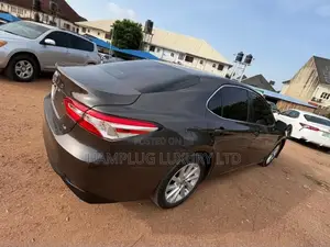 Toyota Camry 2019 Brown