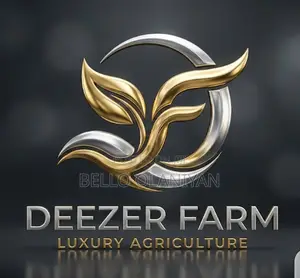 Professional Logo Design, Flyers And Video Editing