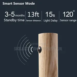 Smart Motion Sensor Light