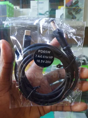 Hp Pd 65w Type C to Big Mouth Cable