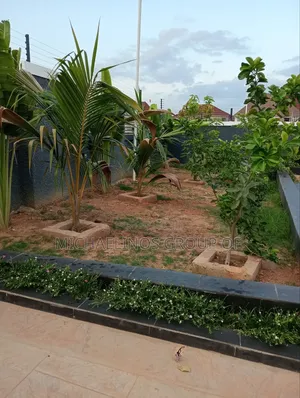 Modern Garden Design Maintenance