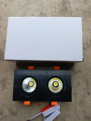 2 in 1 Double Spot Light Black Body and White Body Available