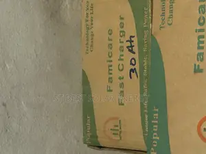 30ah Battery Charger