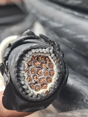 2.5mm 19core Armored Cable