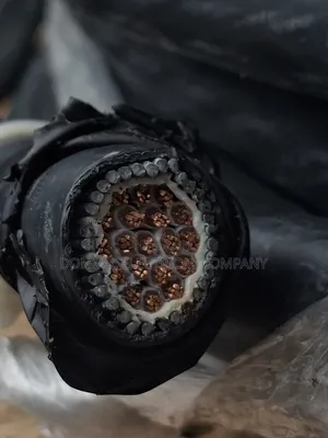 19core 2.5mm Copper Armored Cabel and Wires