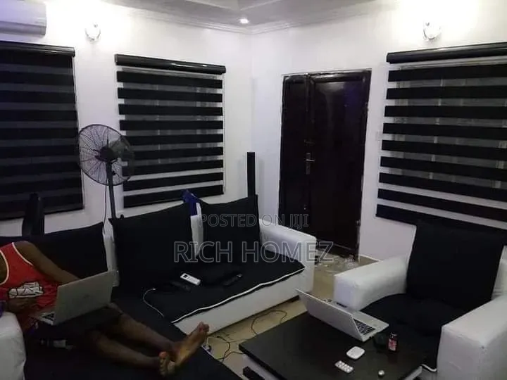Stylish Window Blinds