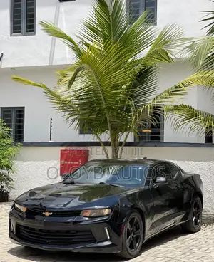 Chevrolet Camaro LS 2dr Coupe w/1LS (3.6L 6cyl 6M) 2016 Black