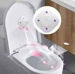 Toilet Sterilizer