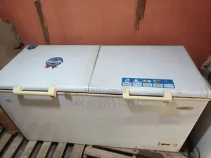 Haier Thermocool Deep Freezer