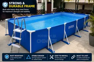 Intex Premium 15feet Adult Kids Family Resort Pool Wit Safety Ladder