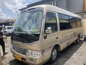 Toyota Coaster 2017 Brown
