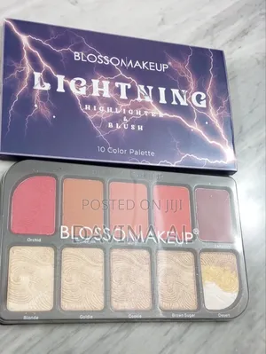 Blossom Blush and Highlight (Lightning)Palette