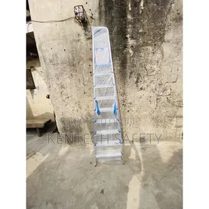 9step Aluminum a Shape Frame Ladder