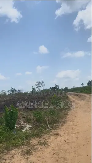 Igbodu Epe