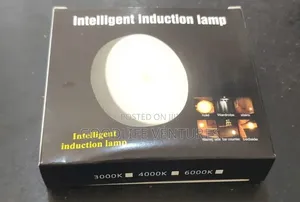 Intelligent Induction Light