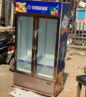 Snow Sea Double Door Chiller