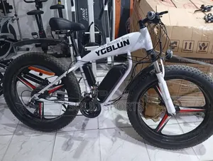 Electric Big Tire Bicycle