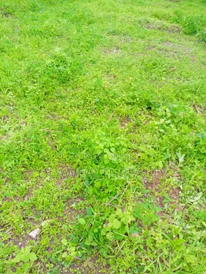 2,148sqm Residential Plot at Maitama 2