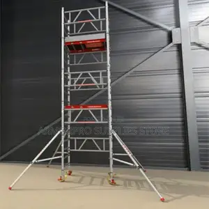Mobile Scaffolding Ladder
