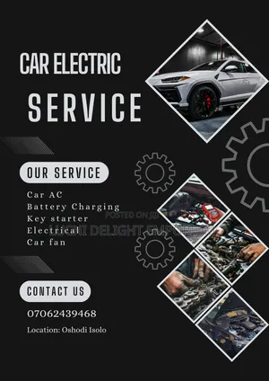 Professional Automobile Electrician)