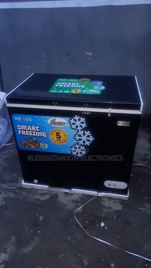 Nexus Inverter Chest Freezer 300liters 10 Years Company Warranty