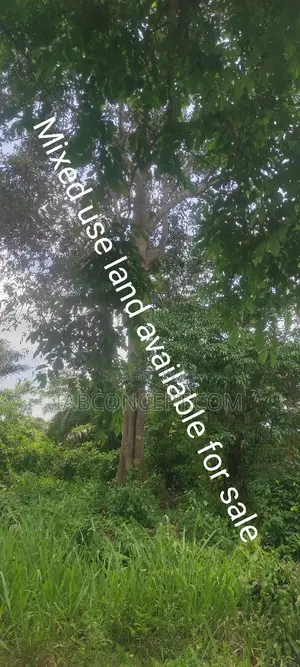 5 Acres of Land for Sale in Ibadan