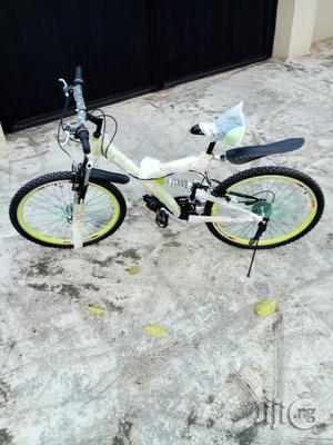 Adult Bicycle New Standard Bike