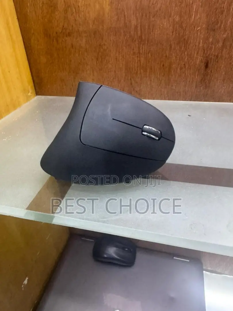 Ergonomic Wireless Mouse