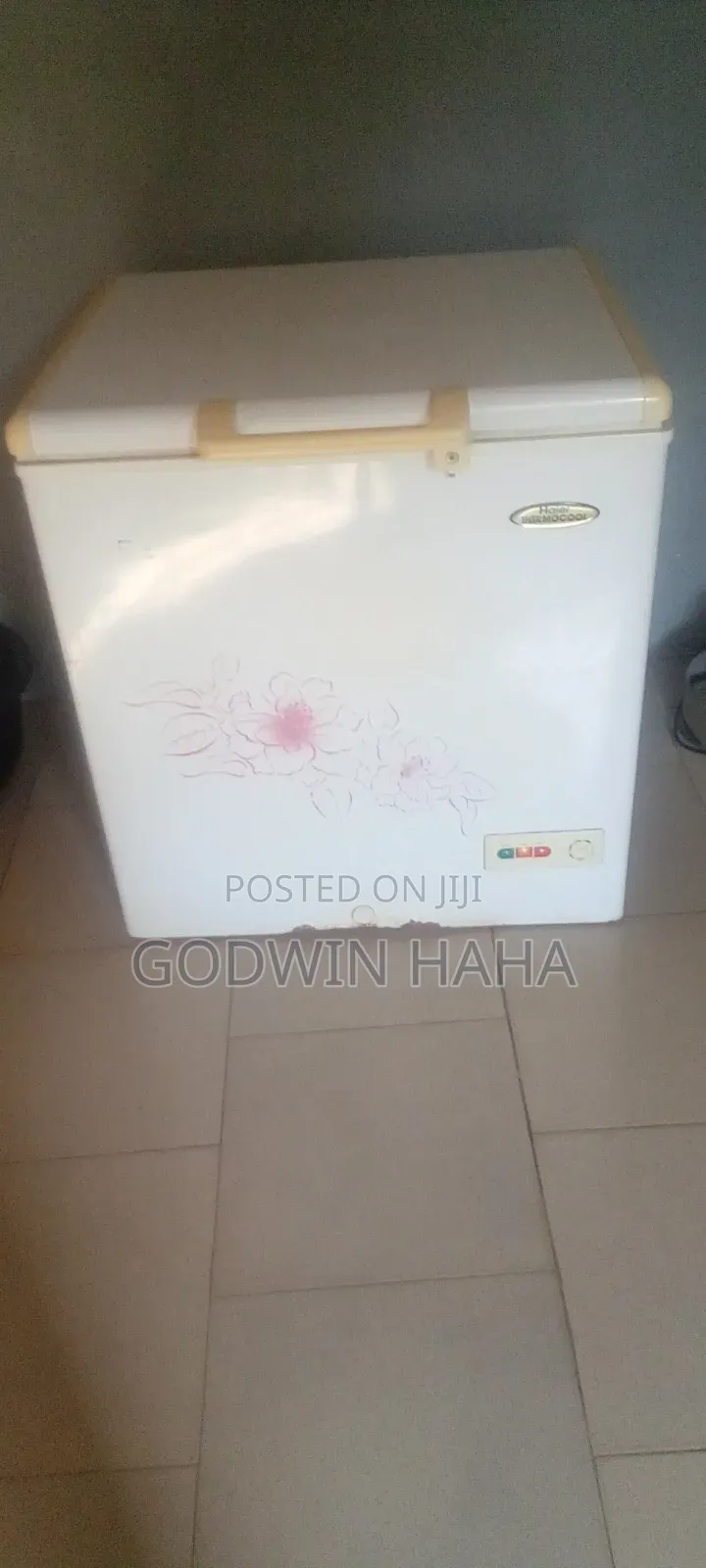 Haier Thermocool Deep Freezer