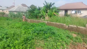 A Full Plot of Land at Festac Elewuro Akobo