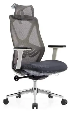Executive Office Mesh Chair