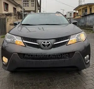Toyota RAV4 XLE 4dr SUV (2.5L 4cyl 6A) 2015 Gray