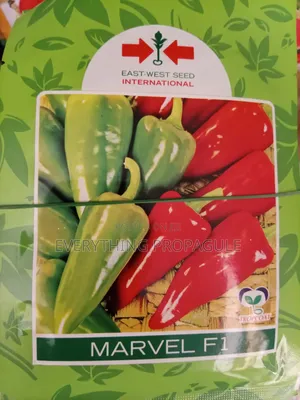 East-West Seed Marvel F1 Pepper Seeds