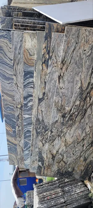 Zebra Granite Slabs