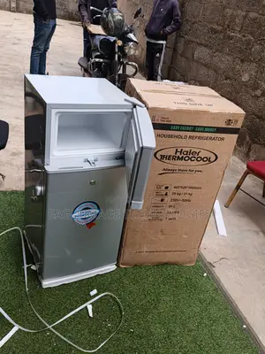 Family Favorite: Haier Thermocool 95l Fridge