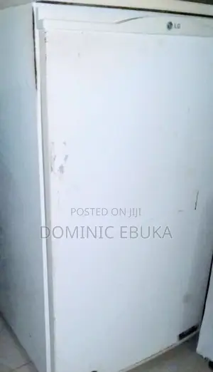 Used Like Lg Mini Size Refrigerator