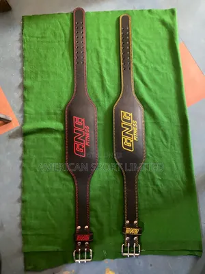Weight Lifting Belt