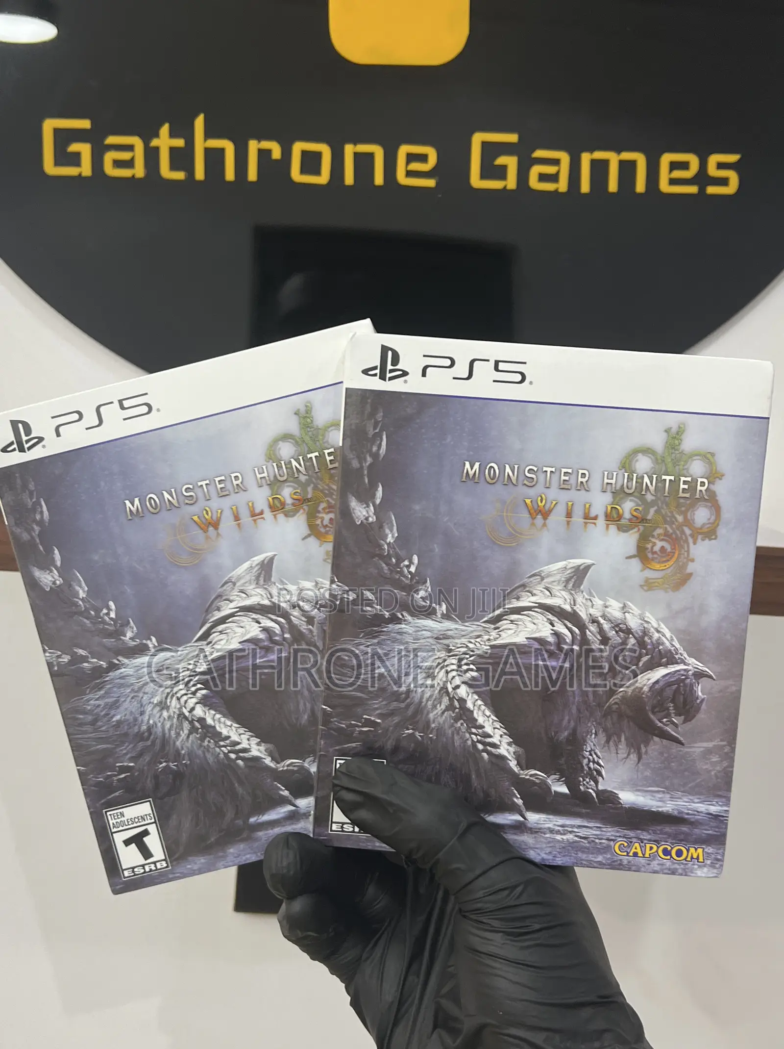 Monster Hunter Wilds