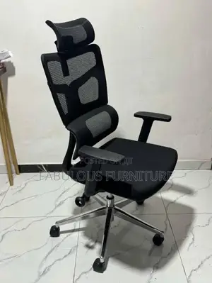 Orthopedic Office Chair