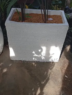 Flower Pot